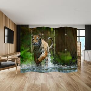 Parawan - Biegnący tygrys (210x170 cm)