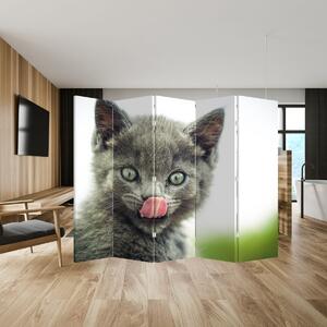 Parawan - Oblizujący się kotek (210x170 cm)