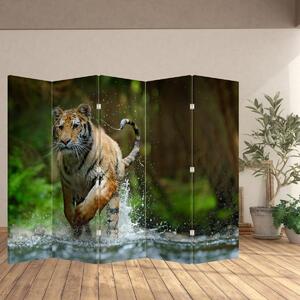Parawan - Biegnący tygrys (210x170 cm)