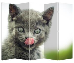 Parawan - Oblizujący się kotek (210x170 cm)