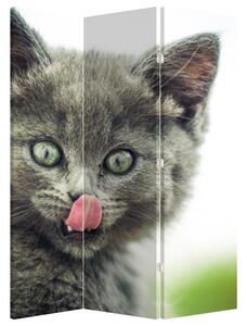 Parawan - Oblizujący się kotek (126x170 cm)