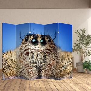 Parawan - Szczegół pająka (210x170 cm)