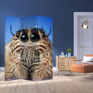 Parawan - Szczegół pająka (126x170 cm)