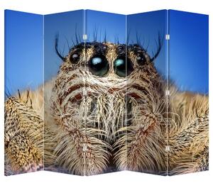 Parawan - Szczegół pająka (210x170 cm)