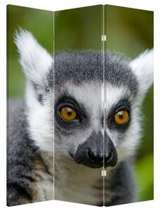 Parawan - Lemur (126x170 cm)