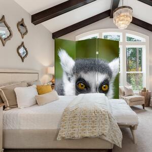 Parawan - Lemur (126x170 cm)