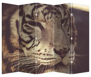 Parawan - Tygrys (210x170 cm)
