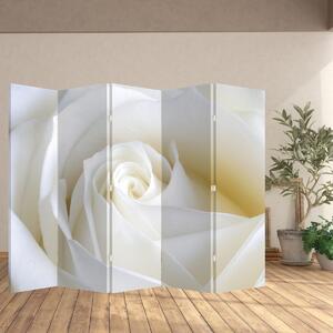 Parawan - Biała róża (210x170 cm)