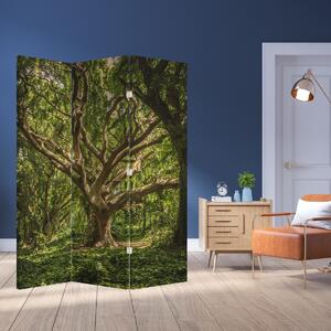 Parawan - Drzewo (126x170 cm)