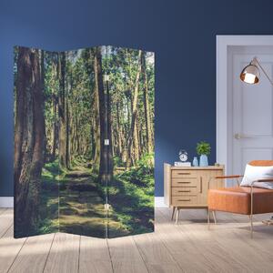 Parawan - Ścieżka wśród drzew (126x170 cm)