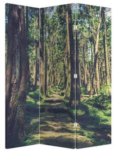 Parawan - Ścieżka wśród drzew (126x170 cm)