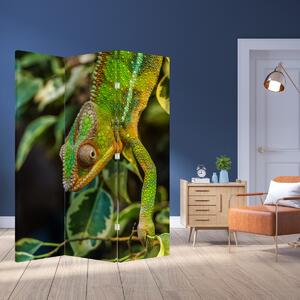 Parawan - Kameleon (126x170 cm)