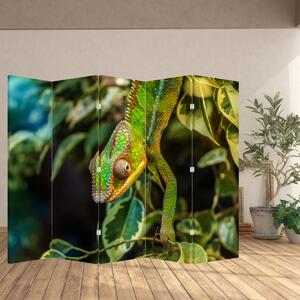 Parawan - Kameleon (210x170 cm)