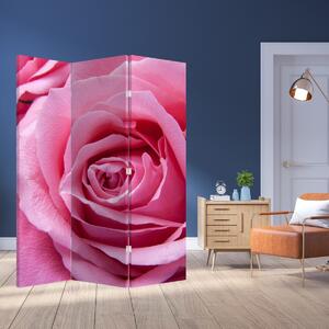 Ekran - Róża (126x170 cm)