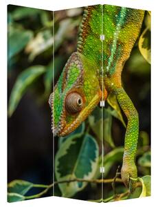 Parawan - Kameleon (126x170 cm)