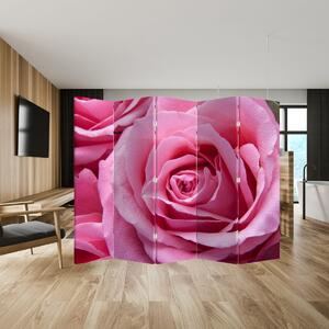 Ekran - Róża (210x170 cm)