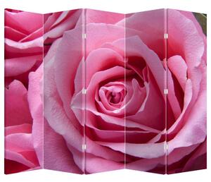 Ekran - Róża (210x170 cm)