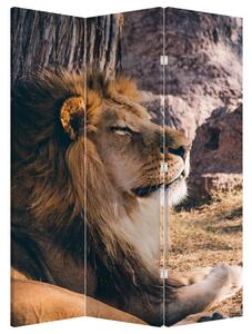 Parawan - Leżący lew (126x170 cm)