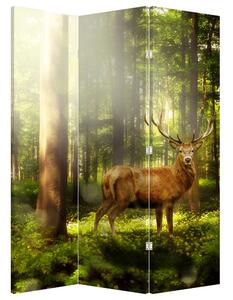 Parawan - Jeleń w lesie (126x170 cm)