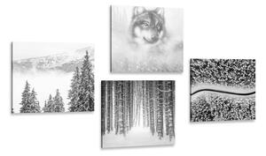 Zestaw obrazów wilk w tajemniczym lesie w wersji czarno-białej