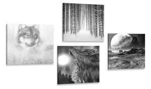 Zestaw obrazów tajemniczy wilk w wersji czarno-białej