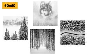 Zestaw obrazów wilk w tajemniczym lesie w wersji czarno-białej