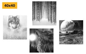 Zestaw obrazów tajemniczy wilk w wersji czarno-białej