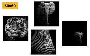 Zestaw obrazów zwierzęta w wersji czarno-białej