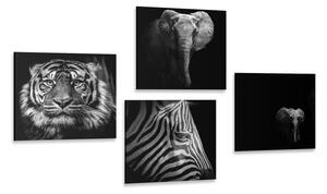 Zestaw obrazów zwierzęta w wersji czarno-białej