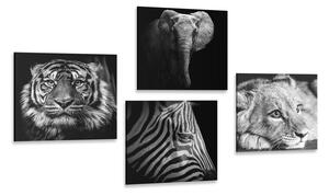 Zestaw obrazów dzikie zwierzęta w wersji czarno-białej