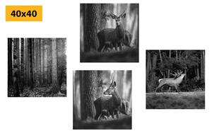Zestaw obrazów zwierzęta leśne w wersji czarno-białej
