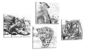 Zestaw obrazów zwierzęta w czarno-białej akwareli