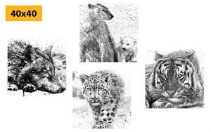 Zestaw obrazów zwierzęta w czarno-białej akwareli
