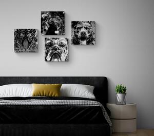 Zestaw obrazów zwierzęta w czarno-białym stylu pop art