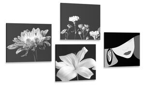 Zestaw obrazów elegancja kobiet i kwiatów w wersji czarno-białej