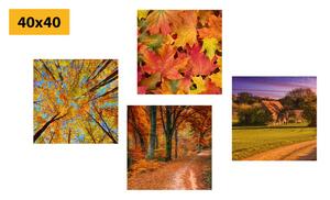 Zestaw obrazów przyroda w jesiennych kolorach