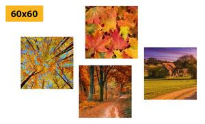 Zestaw obrazów przyroda w jesiennych kolorach