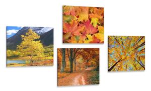 Zestaw obrazów przyroda jesienią w cudownych kolorach