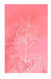 Plakat oszałamiająca roślina Epimedium alpinum