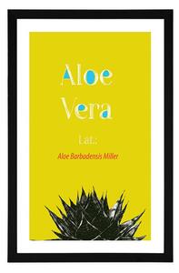 Plakat passepartout cudowna Aloe Vera