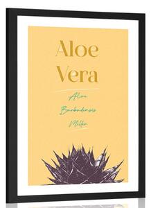 Plakat passepartout ze stylowym napisem Aloe Vera