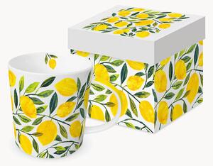 Kubek z porcelany kostnej Tracey's Citronella