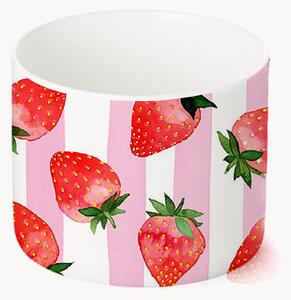 Miska do dipów Strawberry & Stripes