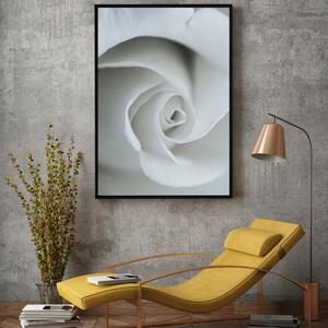 Plakat - White Rose (A4)