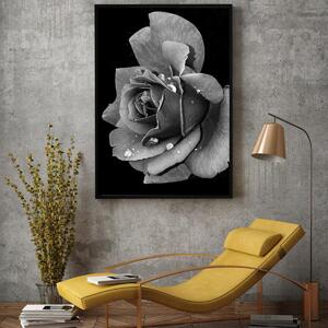Plakat - Kwiat róży (A4)