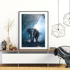 Plakat - Słoń w dżungli (A4)
