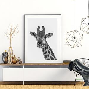 Plakat - Żyrafa (A4)
