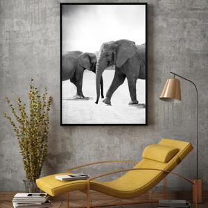 Plakat - Słonie idące naprzeciw (A4)