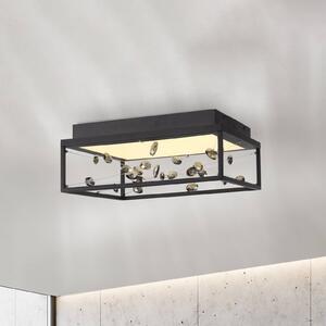 Paul Neuhaus Lampa sufitowa SKINA, możliwość ściemniania, czarny, salon / jadalnia, metal, nowoczesny