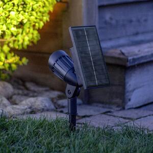 STAR TRADING Reflektor solarny spot LED 19 cm RGBW, 80 lm, czarny, z kołkiem do wbijania w Powerspot, czarny, tworzywo sztuczne, nowoczesny